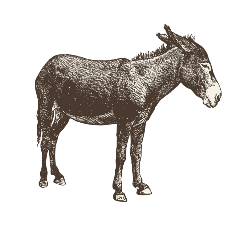 耶和華要定睛在你身上