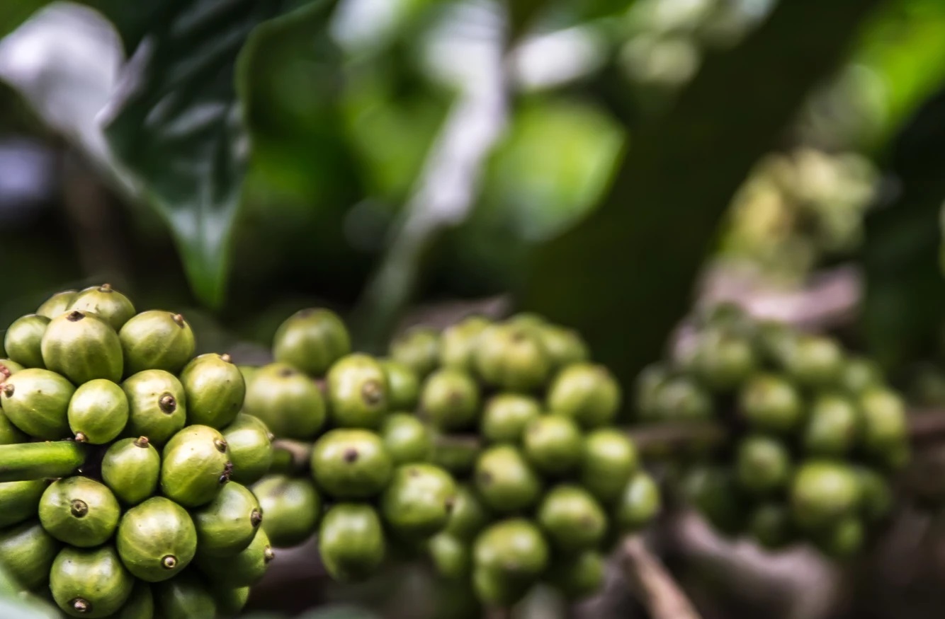 讓聖靈管理的生命