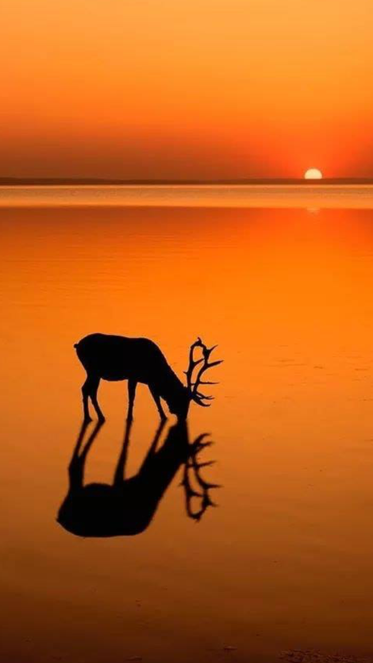 殷勤教訓你的兒女