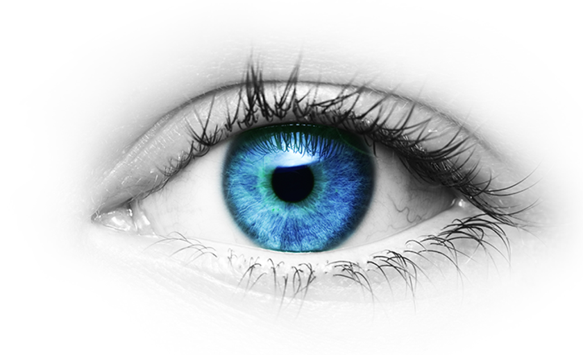 認一認-猶大的改變