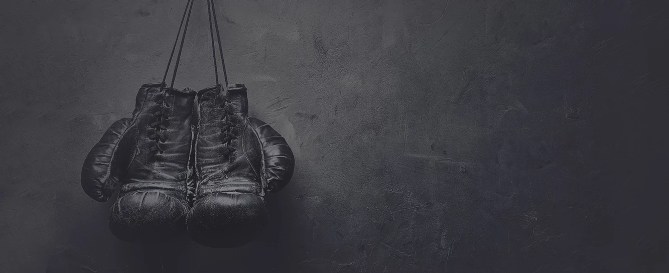 另一邊臉-從律法看新約