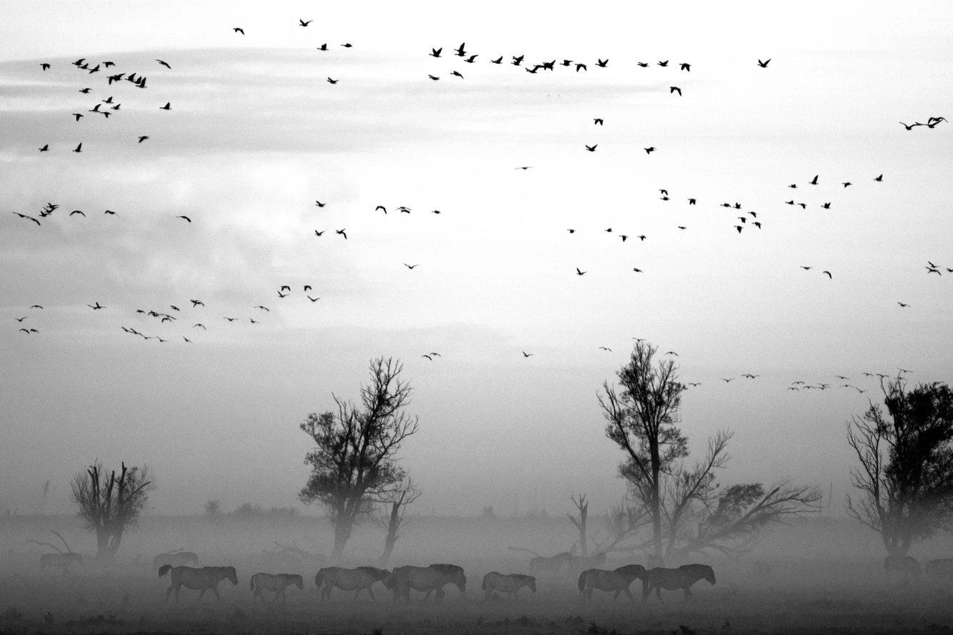 我所說的是我不明白的