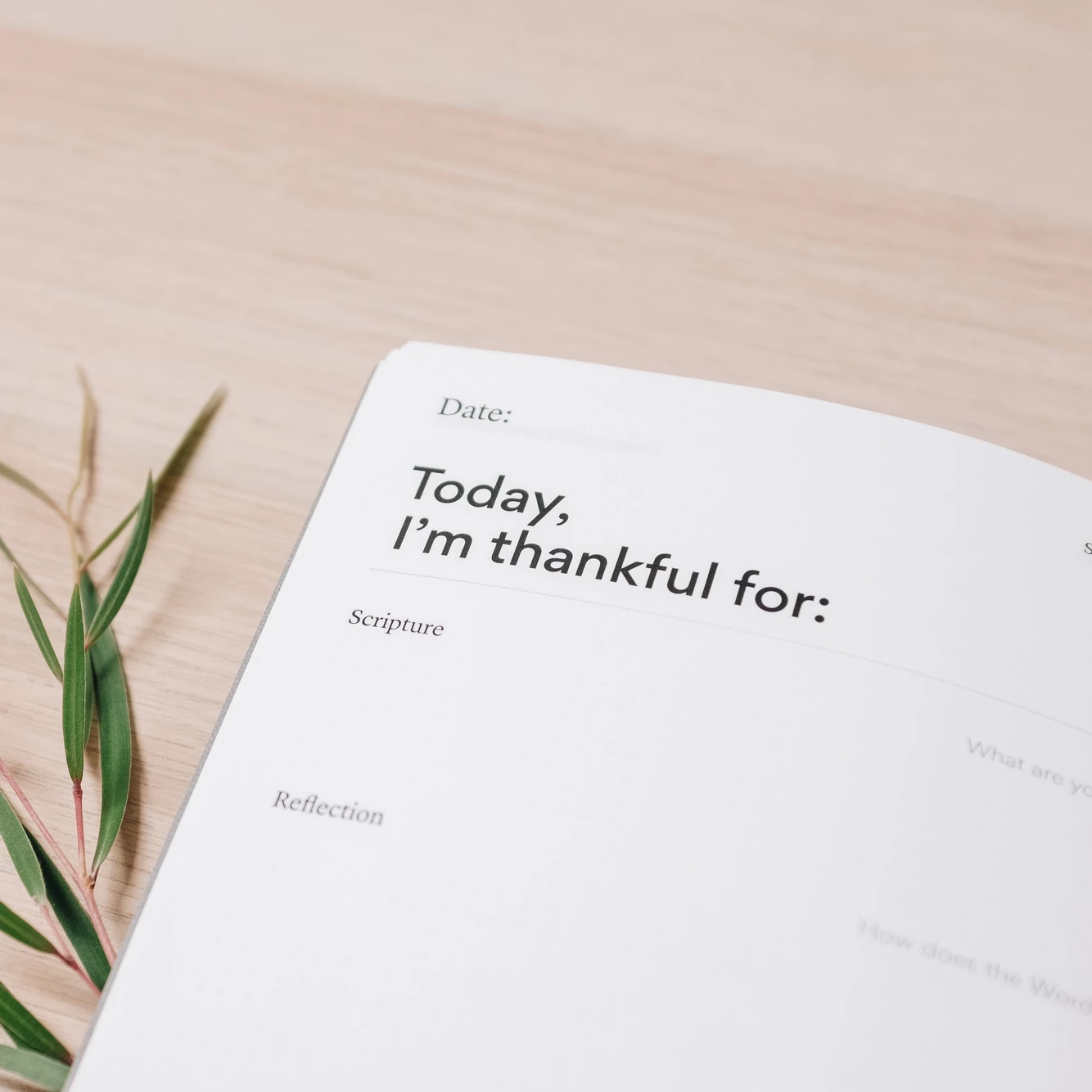 獻初熟土產之例 中