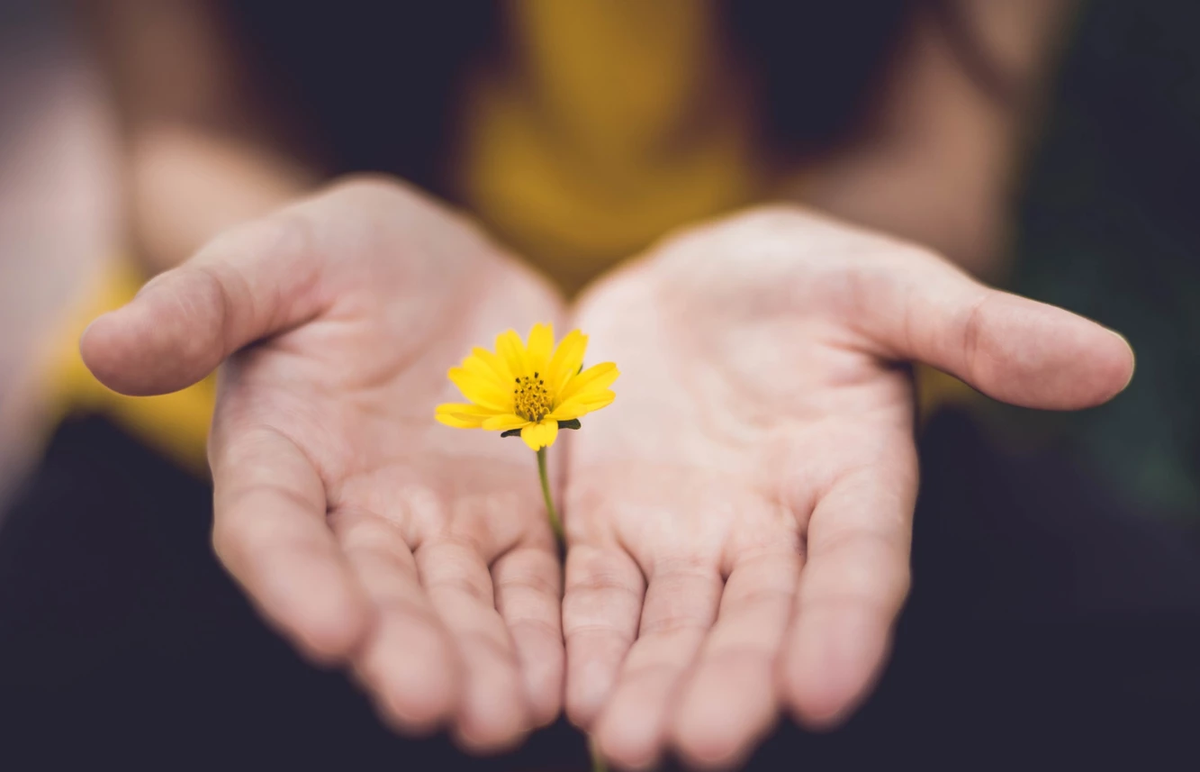 神向你所要的是甚麼呢