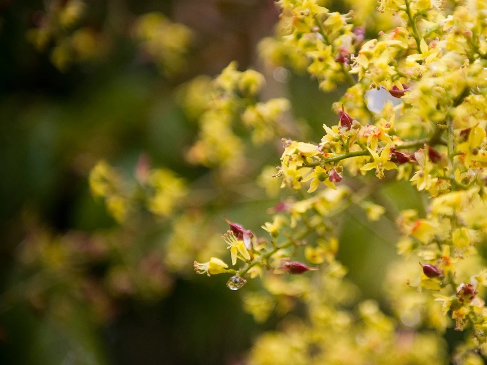 到年老髮白的時候