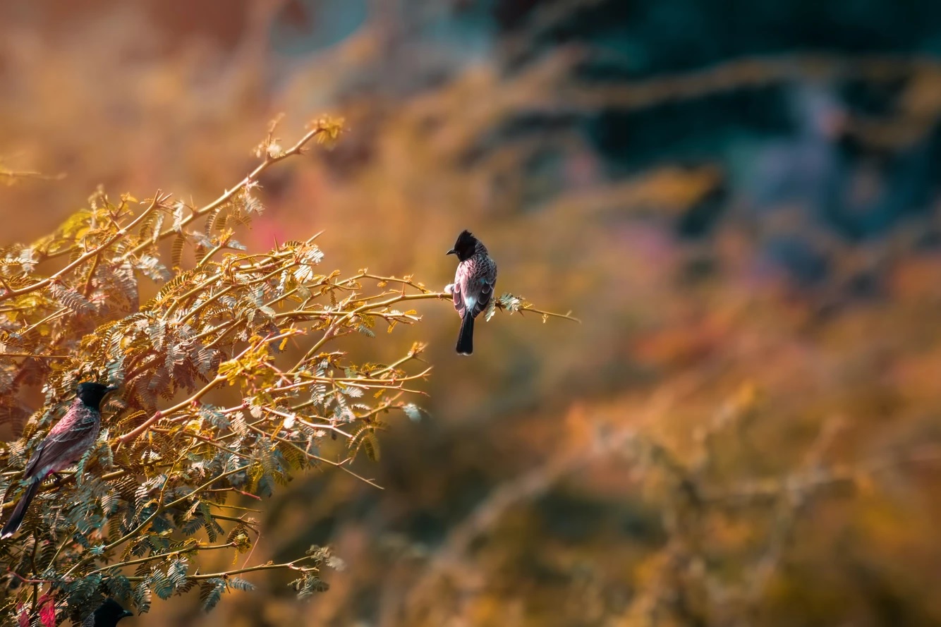 美好新世界2 – 願你們平安