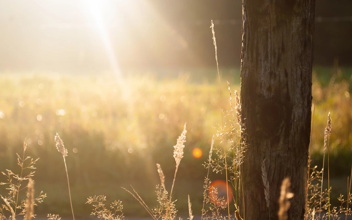 若沒有神的保護