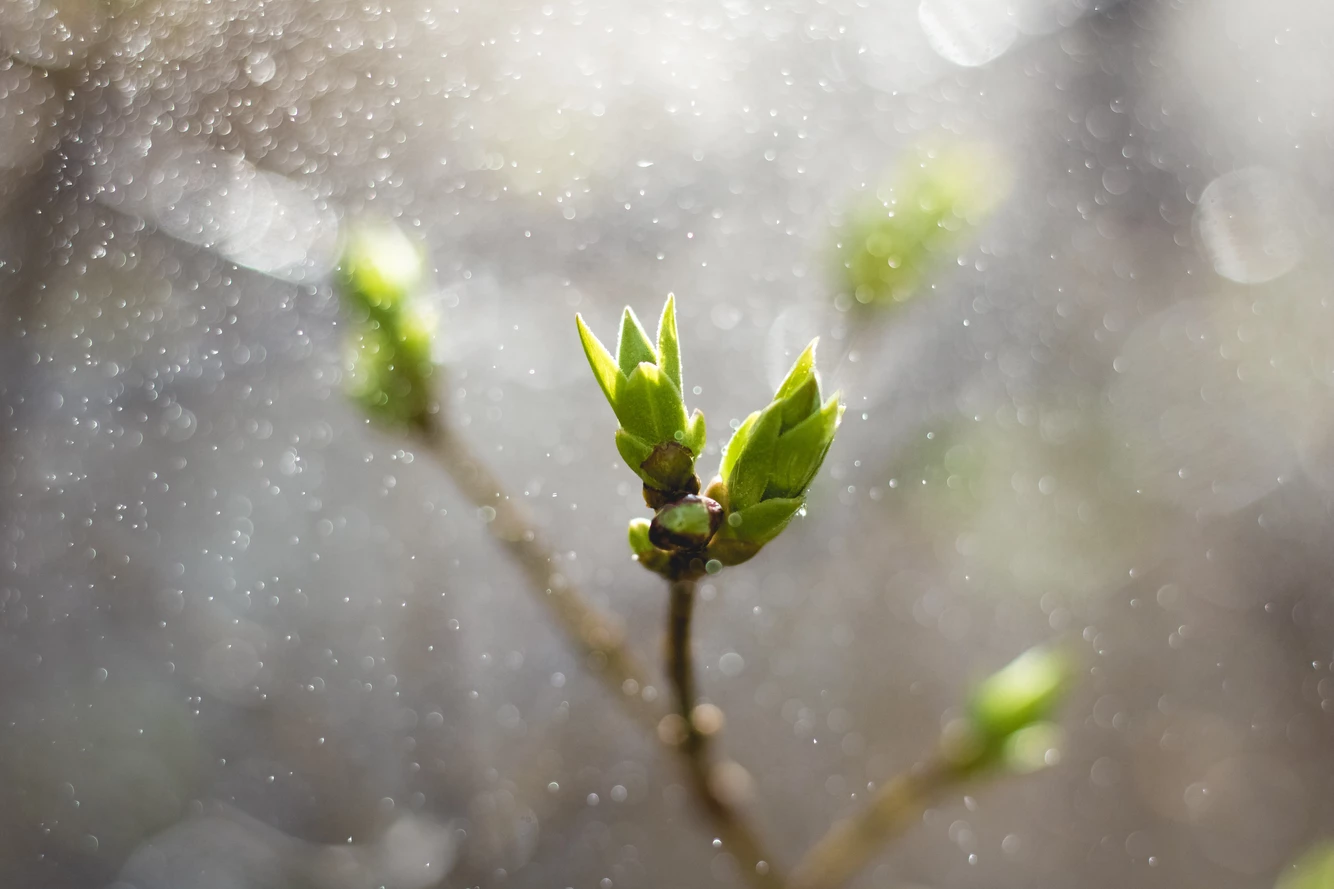 風雨飄搖下的恩典 下_領袖篇