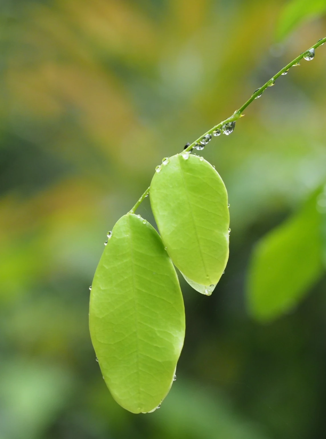 計劃人生 人生計劃