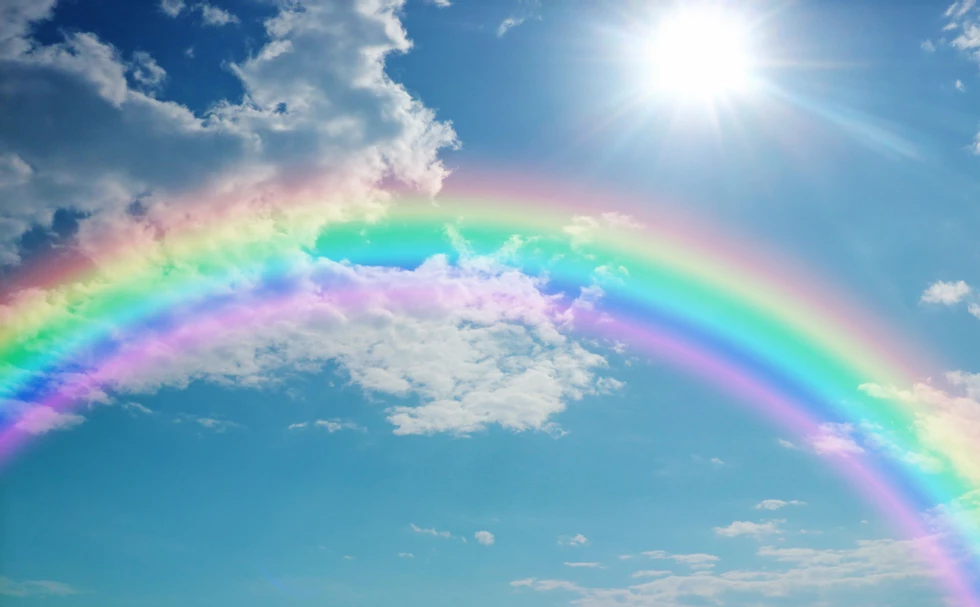 約拿發怒合乎理?