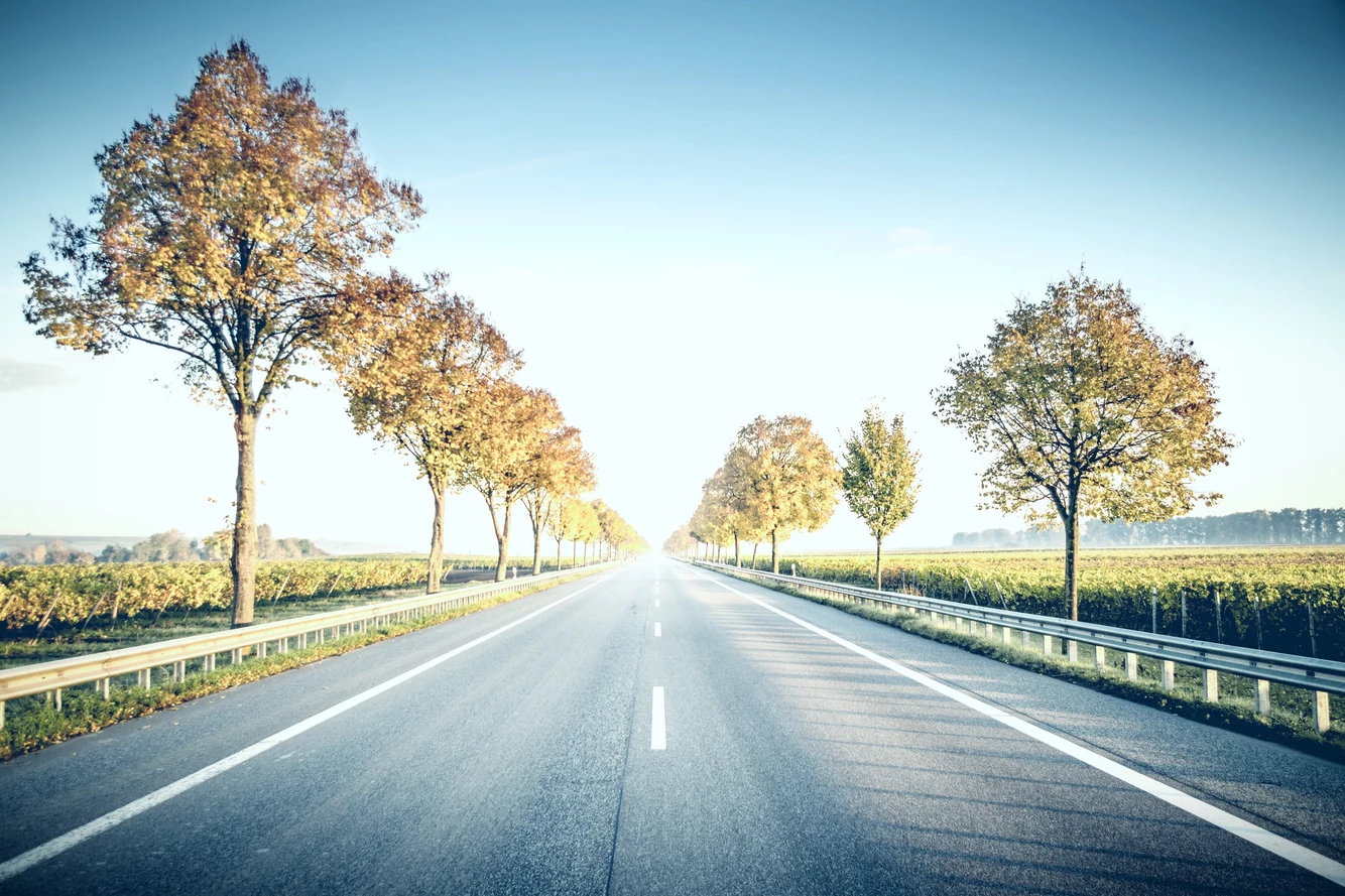 你們心裡不要難過