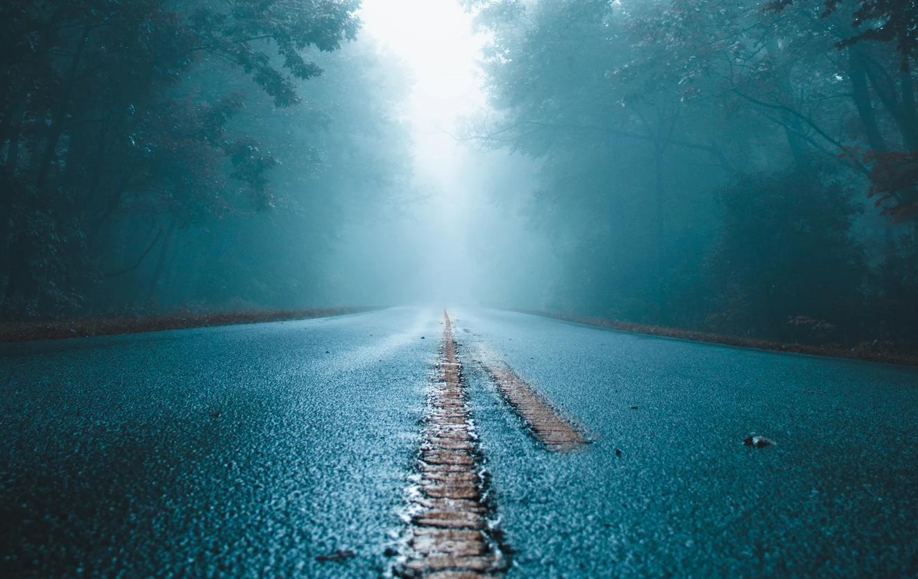 你們不打算走吧