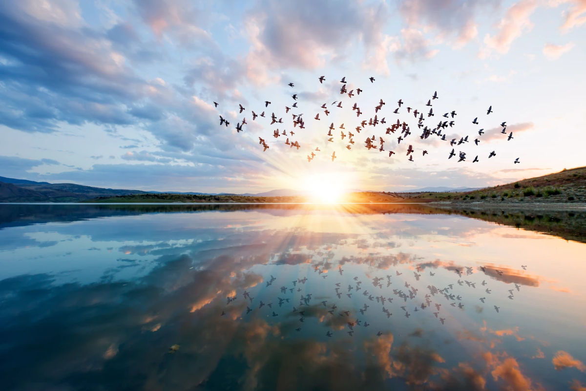 靈動祝福 Living Blessings