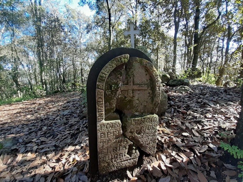 格拉森的…我 I