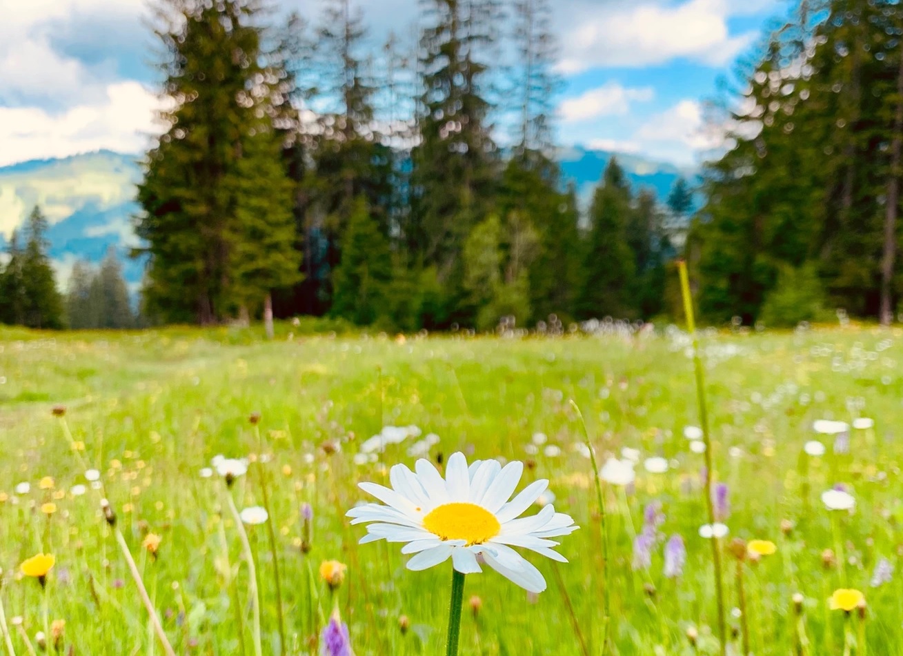 在世寄居的日子