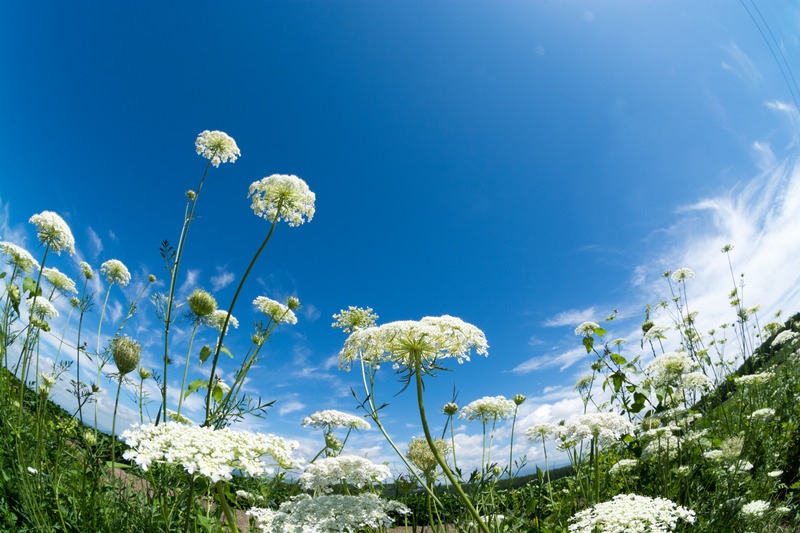 格拉森的…我 V-為主作見證