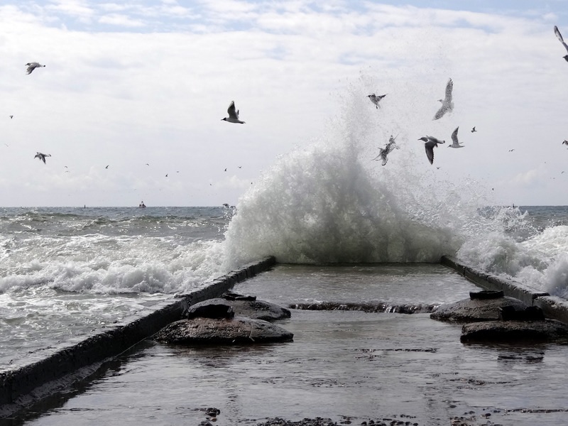 卑微者的福氣 III 面對人生波折的選擇