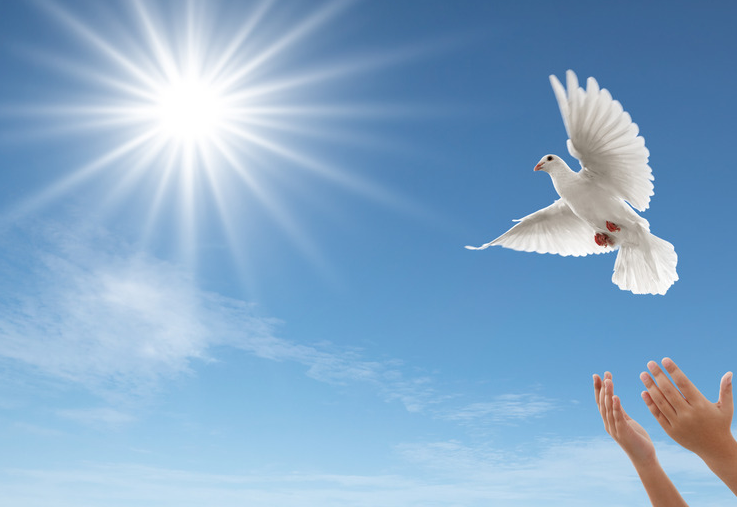 信仰中的盲點 III 使命宣言