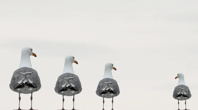 信仰中的盲點 V