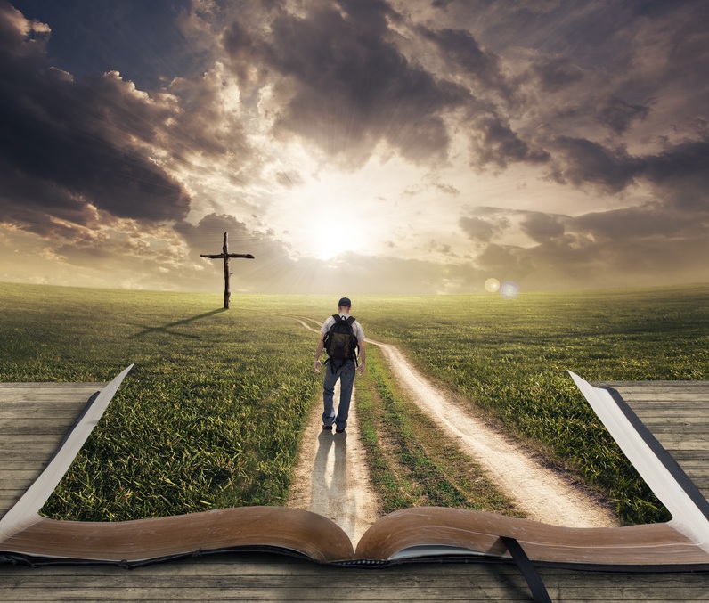 信仰中的盲點 VI 走主所吩咐的路