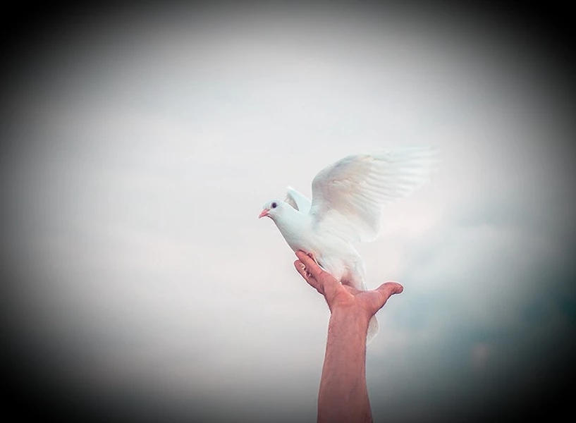 信仰中的盲點 VII 救恩專屬