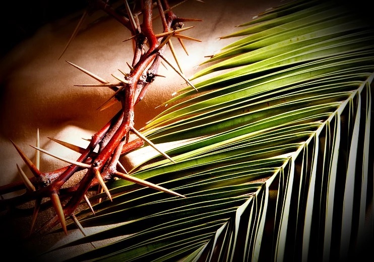 節期系列-棕樹主日 上