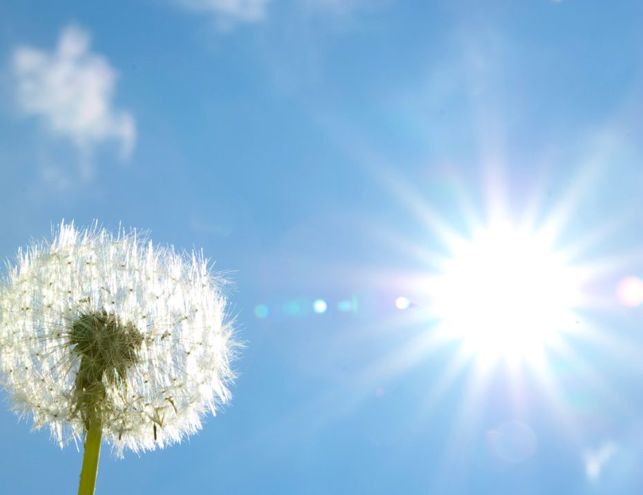 從馬太福音看普世宣教使命 II 從加利利開始