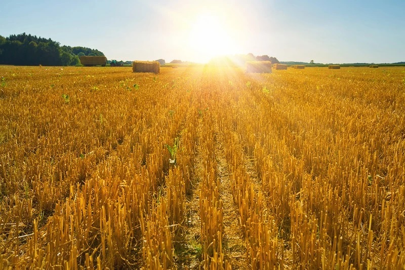 節期系列-聖靈降臨日 上