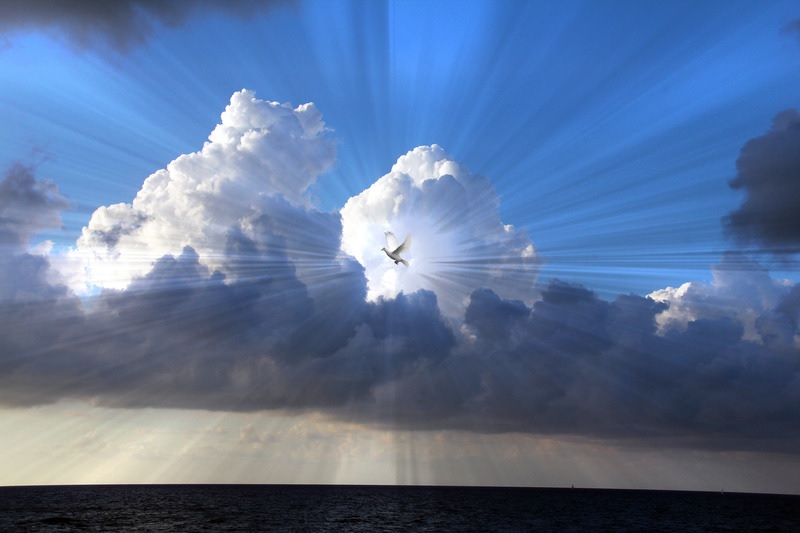 節期系列-聖靈降臨日 下