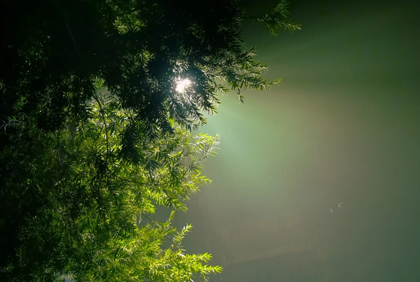 有信心不等如結局完美