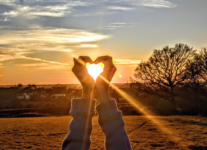 今晚食乜餸 VII 專心一意的愛