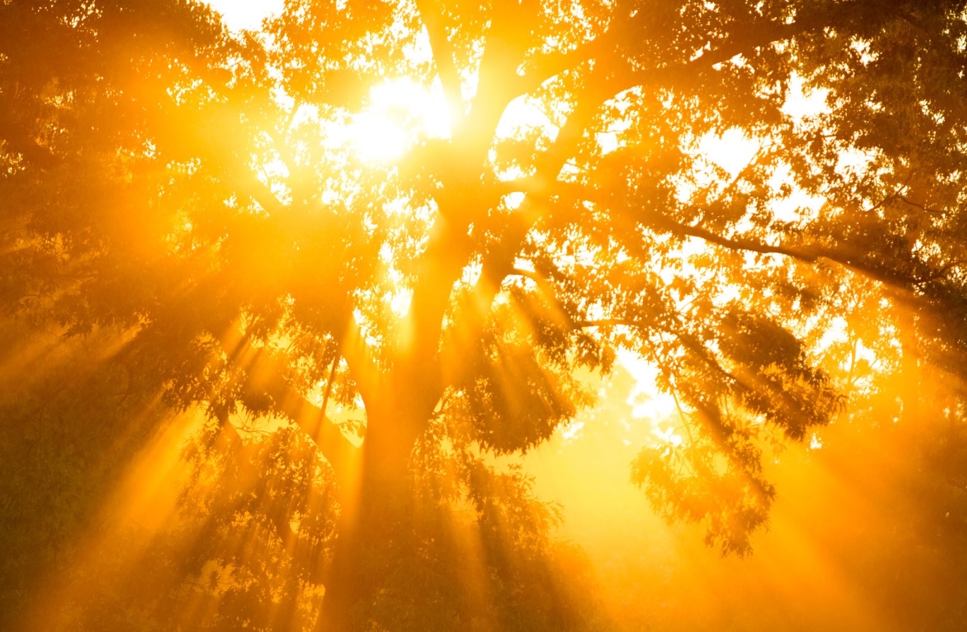 都是出於主的手