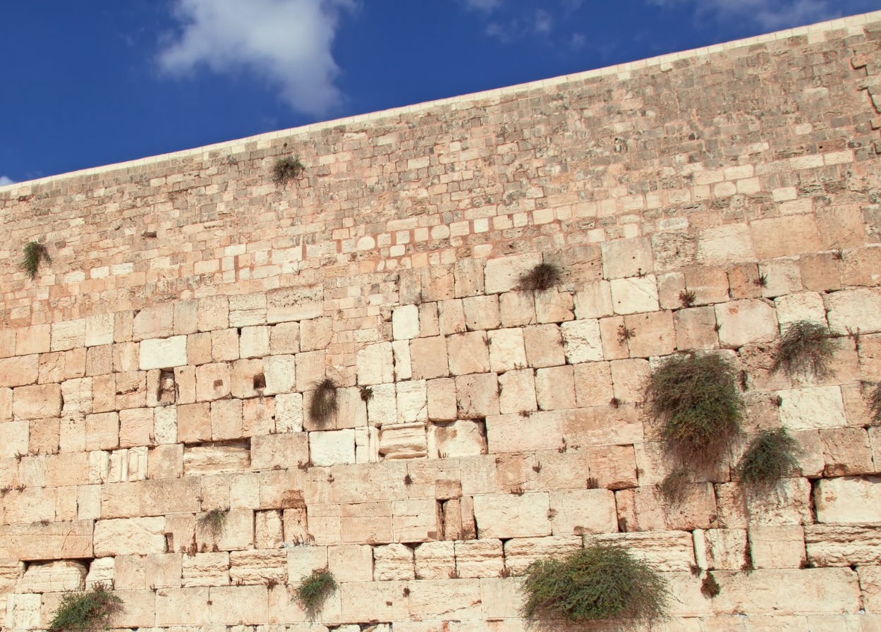 困苦中的預備 II 面對敗絮其中