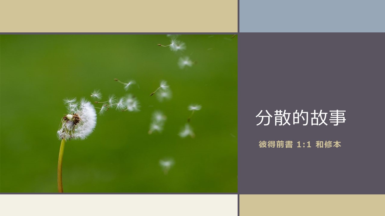 靈聽短講-分散的故事