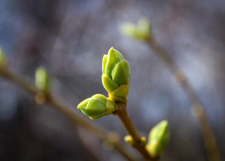 困苦中的預備 IX 還是要警醒