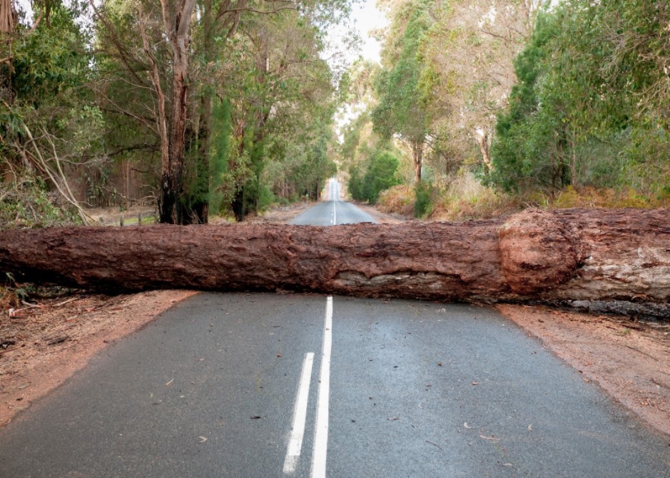 路漫漫其修遠-施洗約翰的服侍 VII
