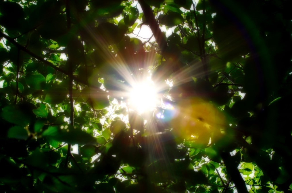 路漫漫其修遠-施洗約翰的服侍 VIII