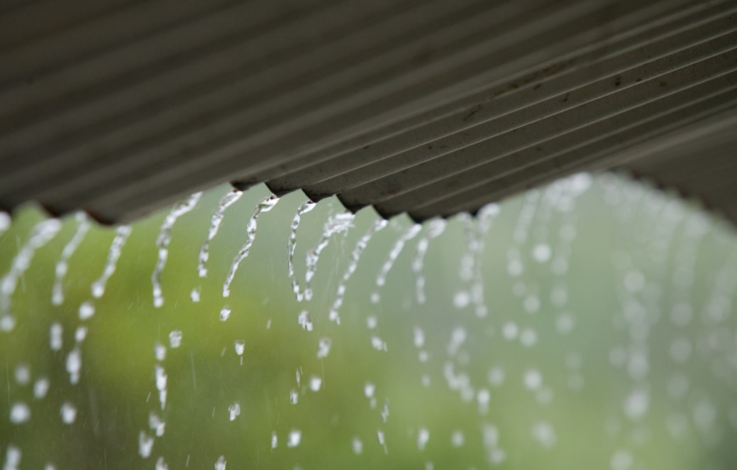 神的同在與保障