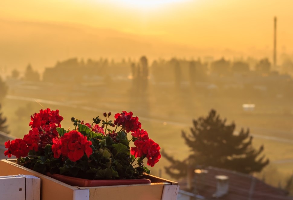 我們既是蒙愛的