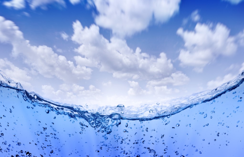 繼承者們-侍奉者的特質 V 無雜質的信心