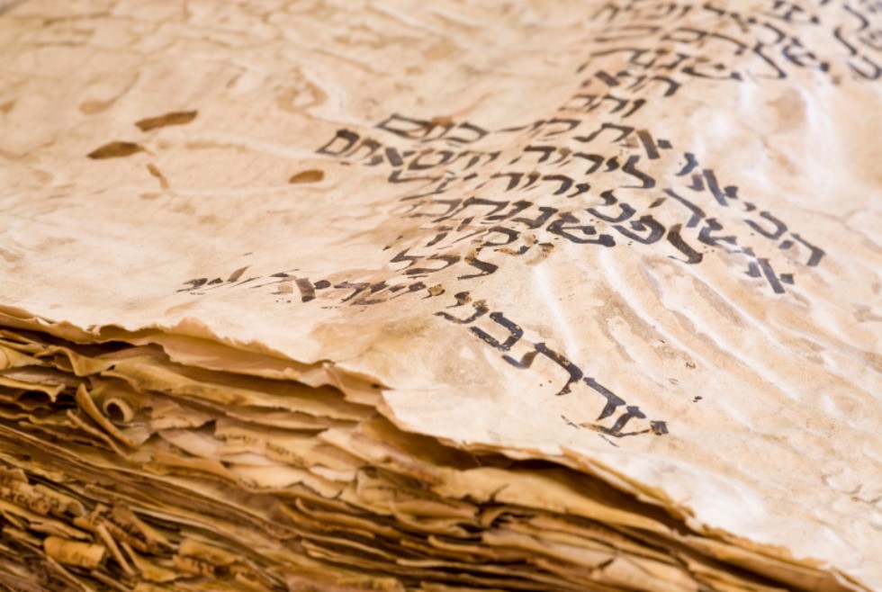 繼承者們-侍奉者的特質 VII 隨時預備好自己