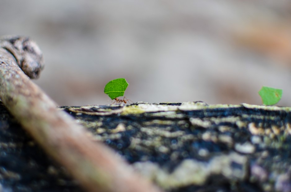 在主裏的勞苦不會徒然