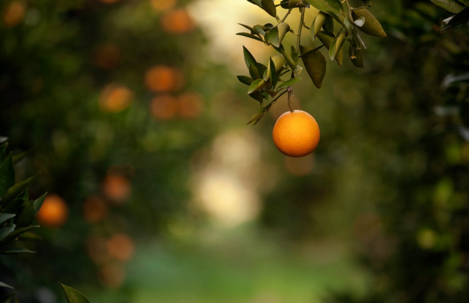 他本不是這樣的