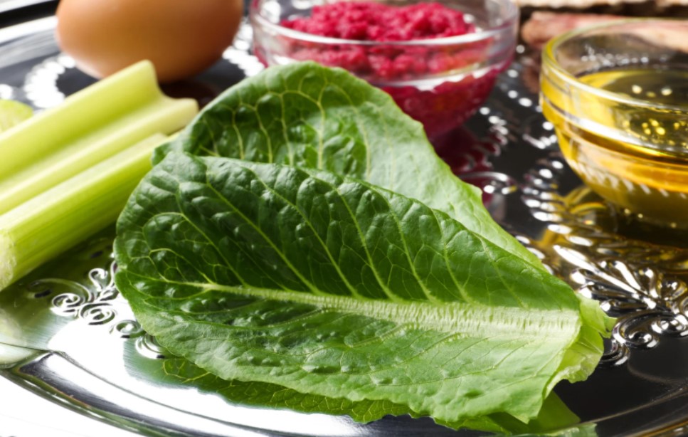 新年新筵席-逾越節的主菜 IV 吃著苦更感激甜