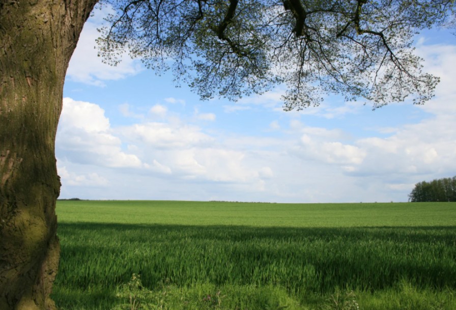 我的好處不在祢以外