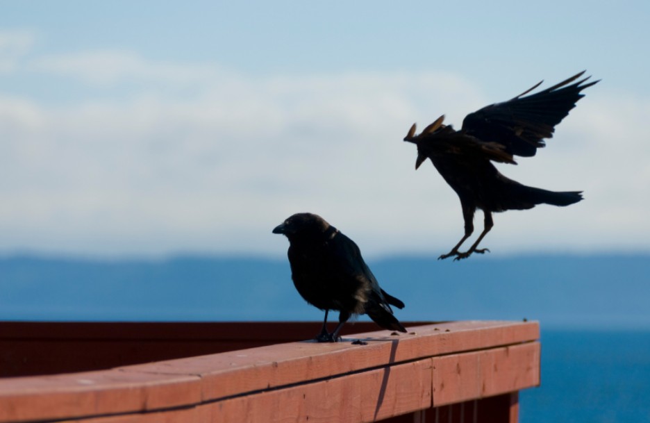 憂慮能成就什麼?