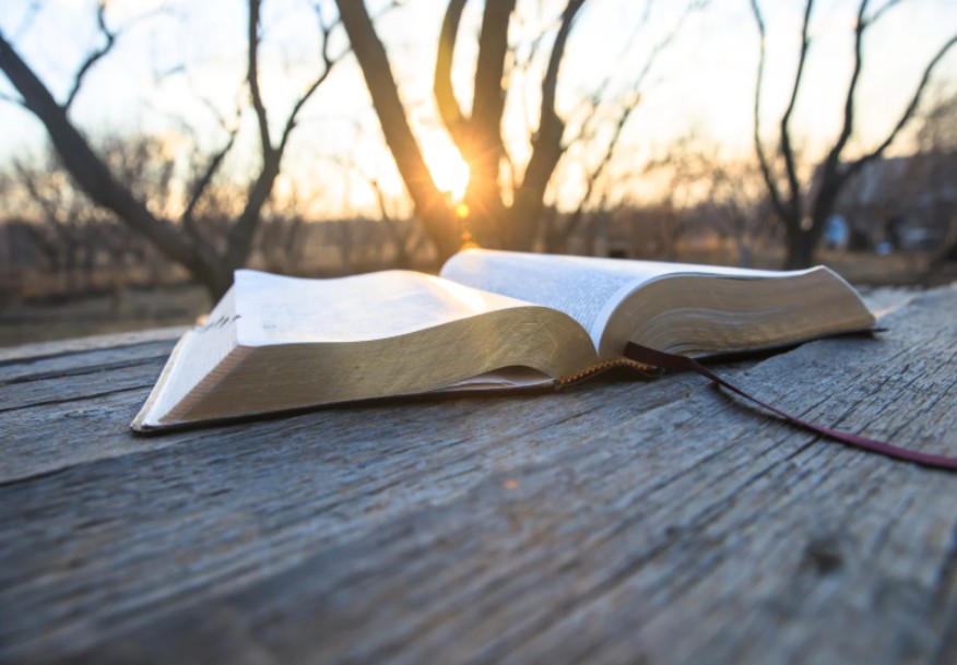 知而又行的有福了