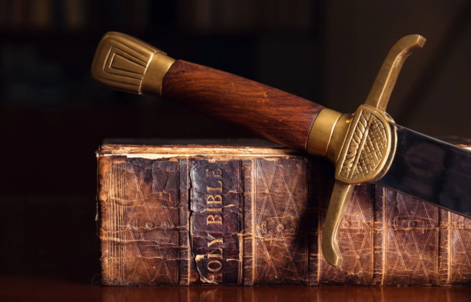 在愛中相屬聯合的生命 VIII 被修剪乾淨