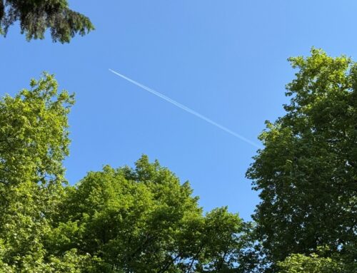 6月25日