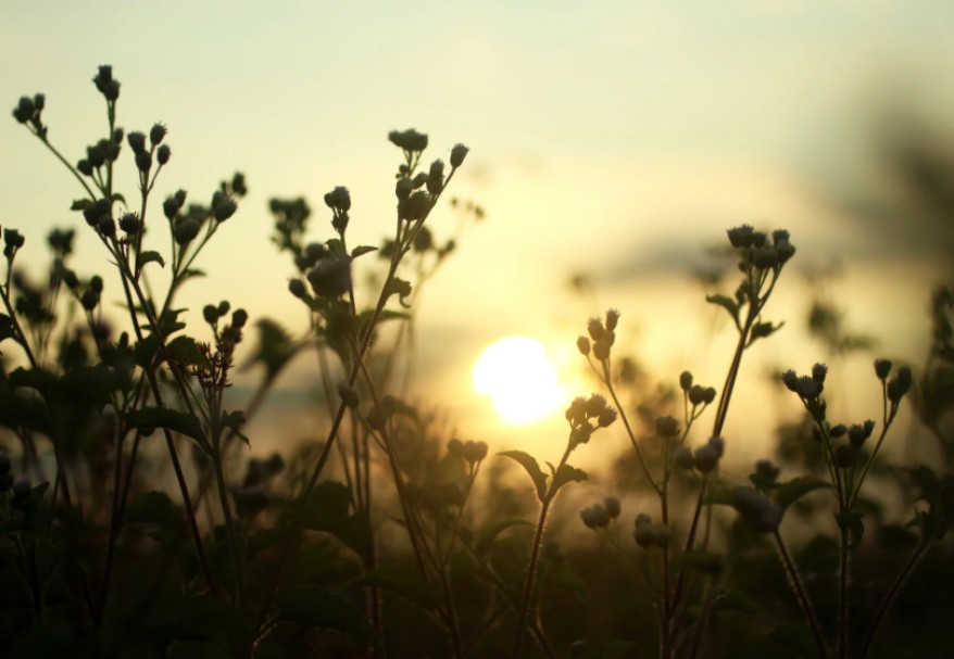 在敵人面前的持守